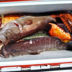 康仁丸・ジギング釣り果